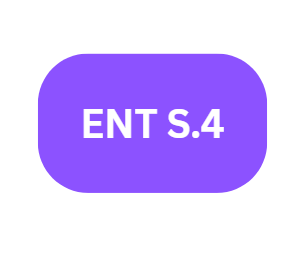 ENTREPRENEURSHIP - S.4