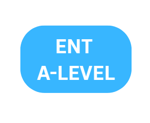 ENTREPRENEURSHIP PAPER A-LEVEL